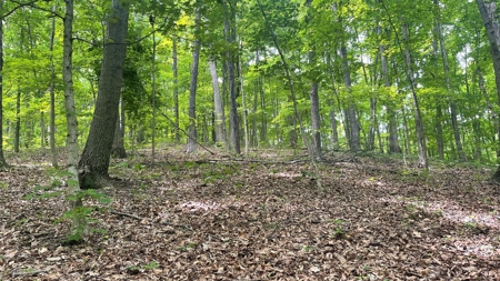 Ross County Ohio Land for Sale - image 1