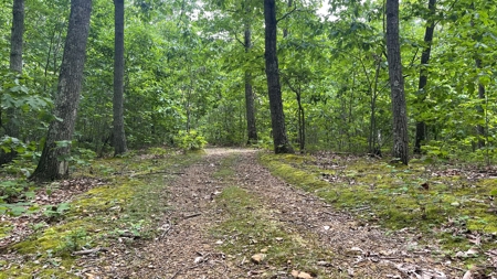 Ross County Ohio Land for Sale - image 24