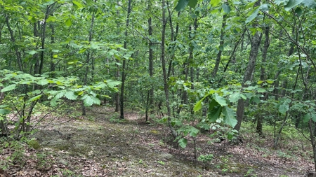 Ross County Ohio Land for Sale - image 16