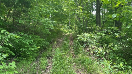 Ross County Ohio Land for Sale - image 3