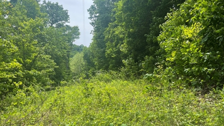 Ross County Ohio Land for Sale - image 5
