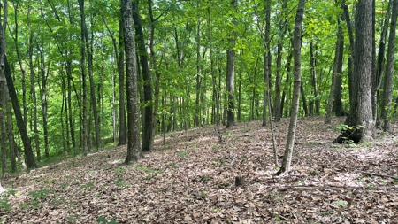 Ross County Ohio Land for Sale - image 8