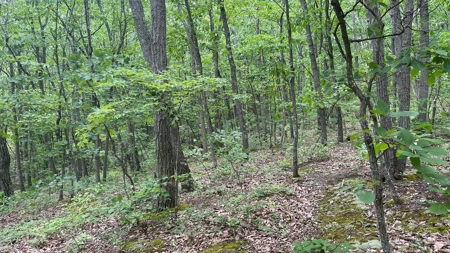 Ross County Ohio Land for Sale - image 25