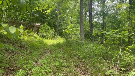 Ross County Ohio Land for Sale - image 4