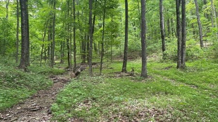 Ross County Ohio Land for Sale - image 32