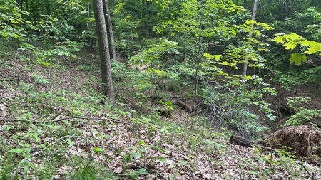 Ross County Ohio Land for Sale - image 20