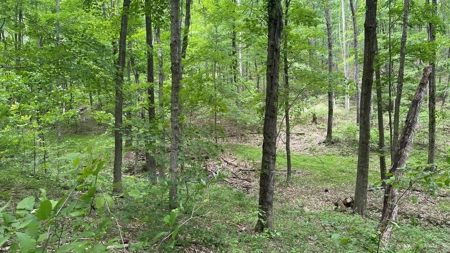 Ross County Ohio Land for Sale - image 29