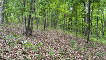 Ross County Ohio Land for Sale - image 27