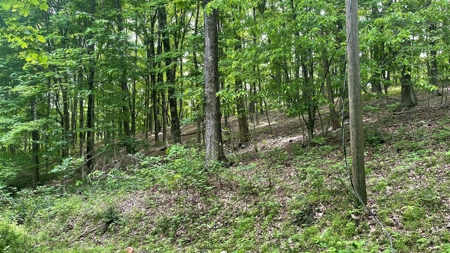 Ross County Ohio Land for Sale - image 11