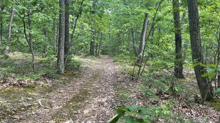 Ross County Ohio Land for Sale - image 17