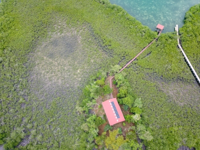Charming House on Small Private Island, Bocas del Toro - image 35