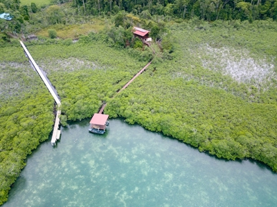 Charming House on Small Private Island, Bocas del Toro - image 39