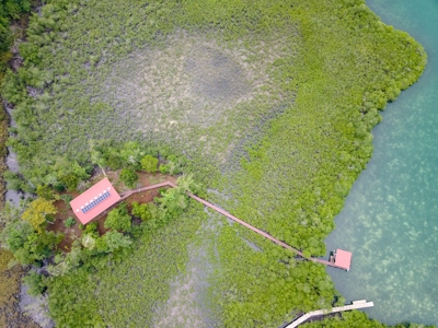 Charming House on Small Private Island, Bocas del Toro - image 37