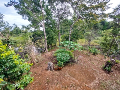 Charming House on Small Private Island, Bocas del Toro - image 26