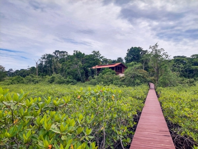 Charming House on Small Private Island, Bocas del Toro - image 4