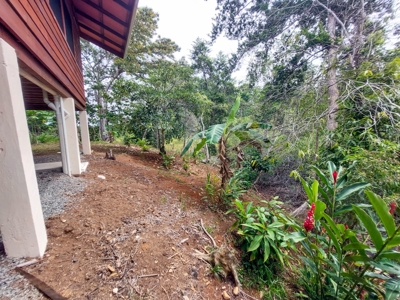 Charming House on Small Private Island, Bocas del Toro - image 30