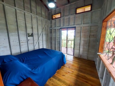 Charming House on Small Private Island, Bocas del Toro - image 15