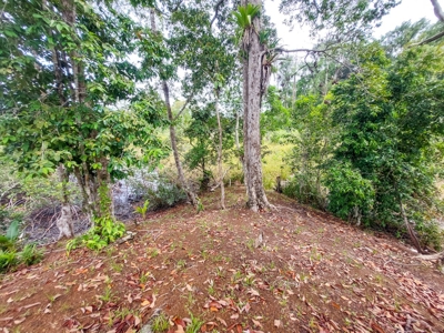Charming House on Small Private Island, Bocas del Toro - image 32