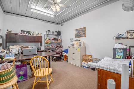 Thriving Business Opportunity In Paw Paw! - image 4