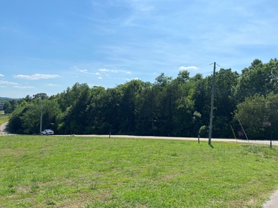 River View Lot For Sale In Marina Development Clifton, Tn - image 5