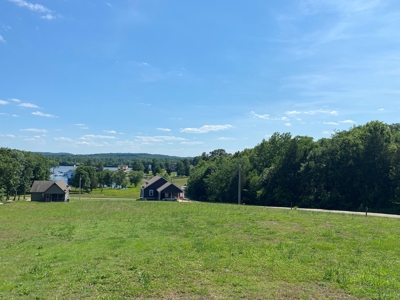 River View Lot For Sale In Marina Development Clifton, Tn - image 1