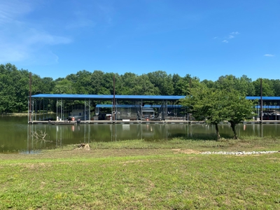 River View Lot For Sale In Marina Development Clifton, Tn - image 6