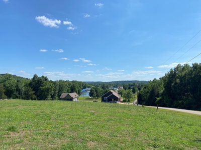 River View Lot For Sale In Marina Development Clifton, Tn - image 2