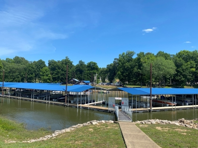 River View Lot For Sale In Marina Development Clifton, Tn - image 8
