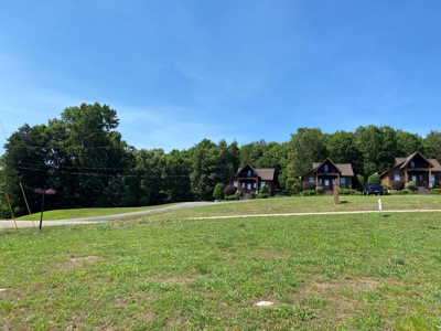 River View Lot For Sale In Marina Development Clifton, Tn - image 12