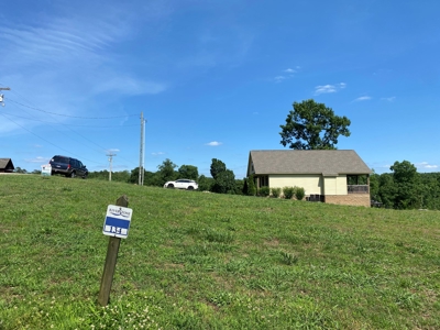 River View Lot For Sale In Marina Development Clifton, Tn - image 10