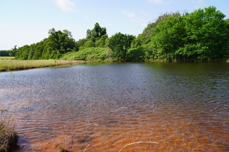 Perkins, OK Land For Sale Pasture, Woods, & Pond - image 9