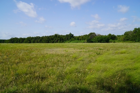 Perkins, OK Land For Sale Pasture, Woods, & Pond - image 4