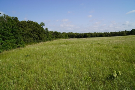 Perkins, OK Land For Sale Pasture, Woods, & Pond - image 6