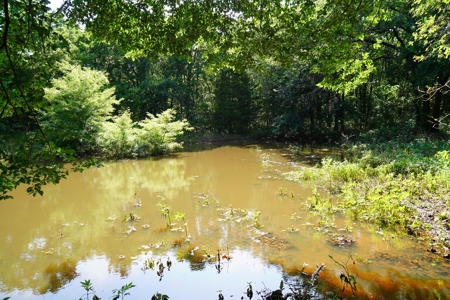 Perkins, OK Land For Sale Pasture, Woods, & Pond - image 7
