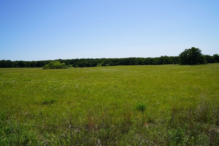 Perkins, OK Land For Sale Pasture, Woods, & Pond - image 2