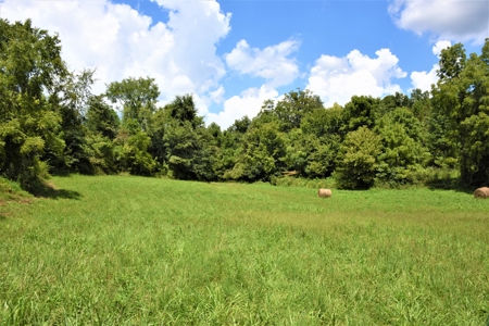 Home Sites, Recreation, Hunting, Creeks, Springs, Private - image 27