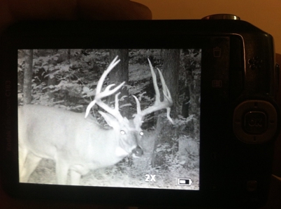Home Sites, Recreation, Hunting, Creeks, Springs, Private - image 5