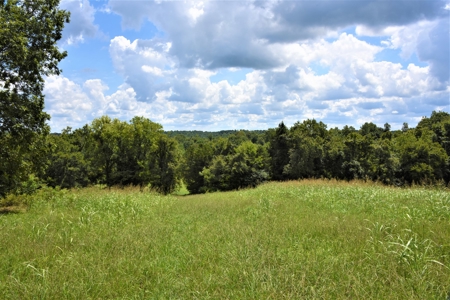 Home Sites, Recreation, Hunting, Creeks, Springs, Private - image 20