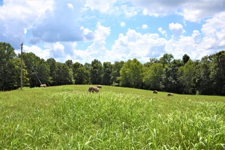 Home Sites, Recreation, Hunting, Creeks, Springs, Private - image 28