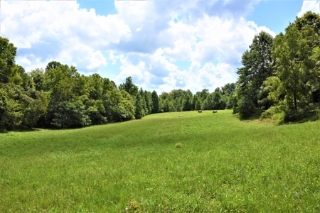 Home Sites, Recreation, Hunting, Creeks, Springs, Private - image 12