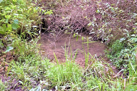 Home Sites, Recreation, Hunting, Creeks, Springs, Private - image 15