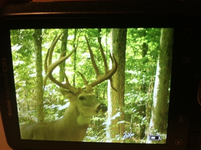 Home Sites, Recreation, Hunting, Creeks, Springs, Private - image 6