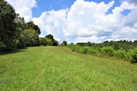 Home Sites, Recreation, Hunting, Creeks, Springs, Private - image 24