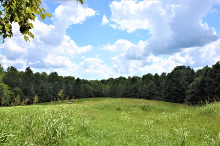 Home Sites, Recreation, Hunting, Creeks, Springs, Private - image 26