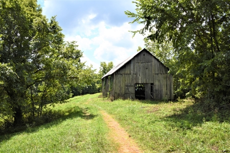 Home Sites, Recreation, Hunting, Creeks, Springs, Private - image 10
