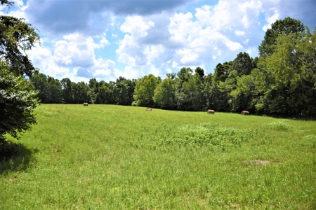 Home Sites, Recreation, Hunting, Creeks, Springs, Private - image 11