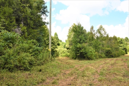 Home Sites, Recreation, Hunting, Creeks, Springs, Private - image 14