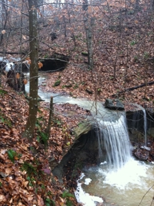 Home Sites, Recreation, Hunting, Creeks, Springs, Private - image 4