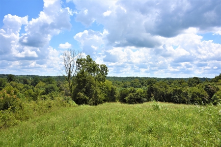 Home Sites, Recreation, Hunting, Creeks, Springs, Private - image 23