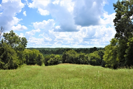 Home Sites, Recreation, Hunting, Creeks, Springs, Private - image 25